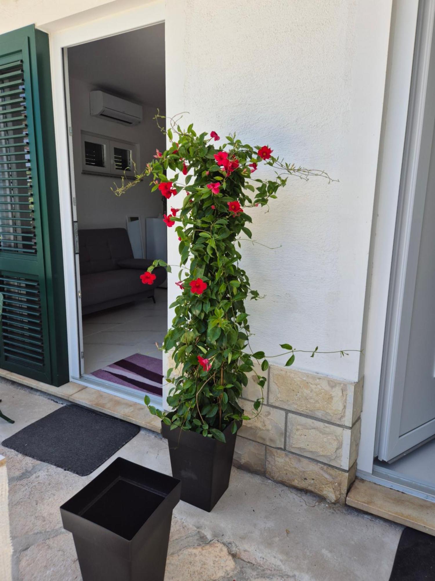 Apartman Bauer - Omis- Nemira Екстер'єр фото